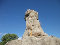 gale-20120725 029
